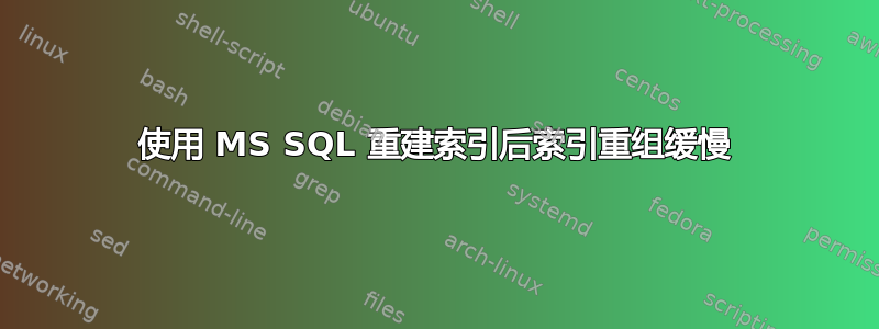 使用 MS SQL 重建索引后索引重组缓慢