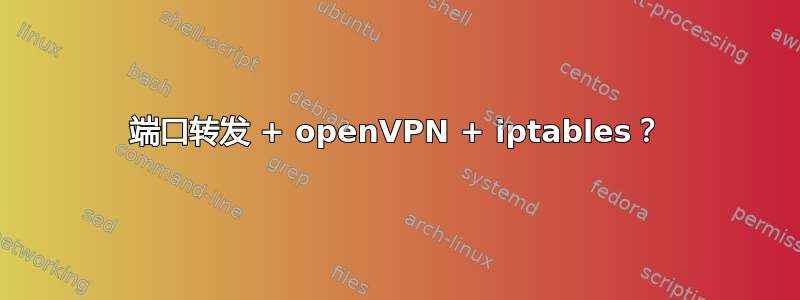 端口转发 + openVPN + iptables？