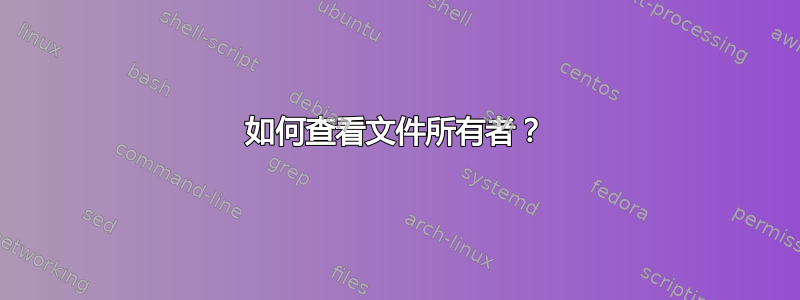 如何查看文件所有者？