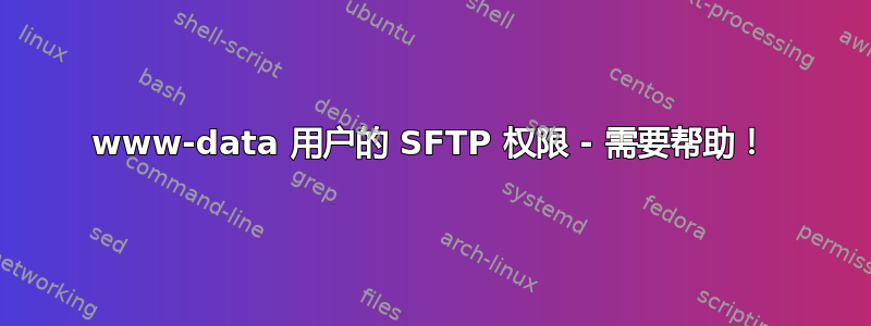 www-data 用户的 SFTP 权限 - 需要帮助！