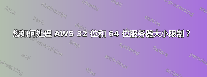 您如何处理 AWS 32 位和 64 位服务器大小限制？