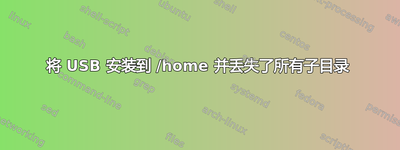 将 USB 安装到 /home 并丢失了所有子目录