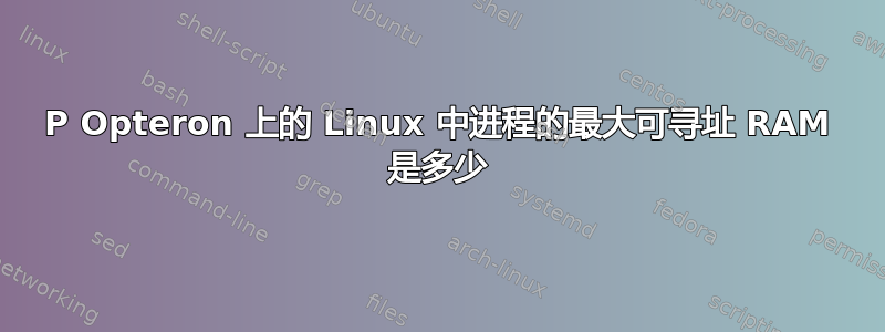 2P Opteron 上的 Linux 中进程的最大可寻址 RAM 是多少