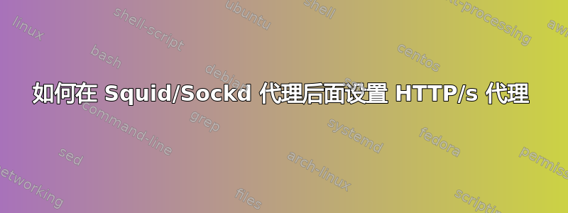 如何在 Squid/Sockd 代理后面设置 HTTP/s 代理