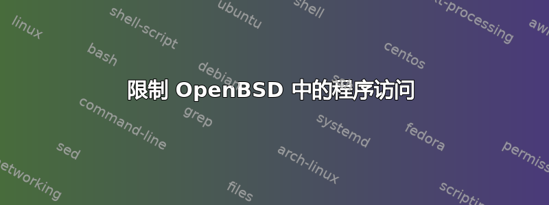 限制 OpenBSD 中的程序访问