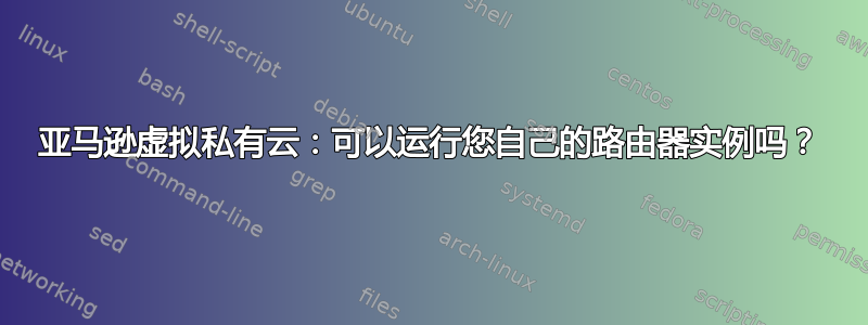 亚马逊虚拟私有云：可以运行您自己的路由器实例吗？