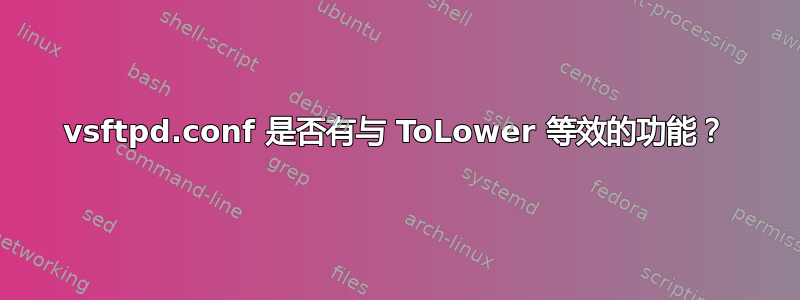 vsftpd.conf 是否有与 ToLower 等效的功能？