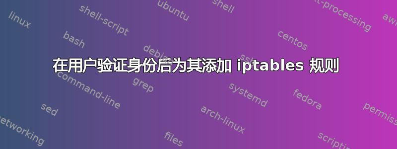 在用户验证身份后为其添加 iptables 规则