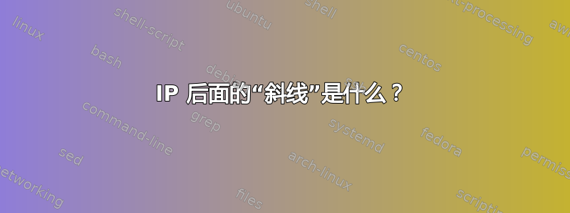 IP 后面的“斜线”是什么？