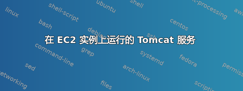 在 EC2 实例上运行的 Tomcat 服务