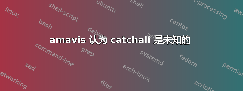 amavis 认为 catchall 是未知的