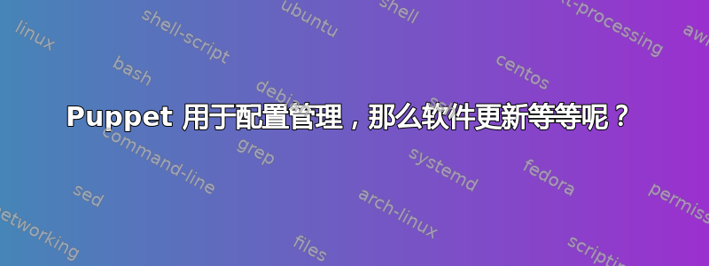 Puppet 用于配置管理，那么软件更新等等呢？