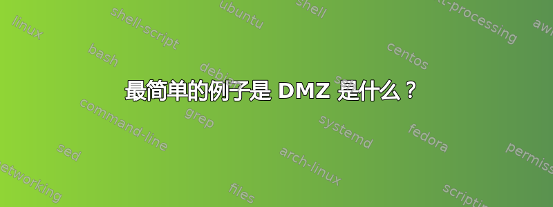 最简单的例子是 DMZ 是什么？