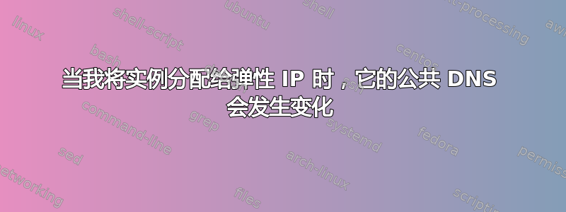 当我将实例分配给弹性 IP 时，它的公共 DNS 会发生变化