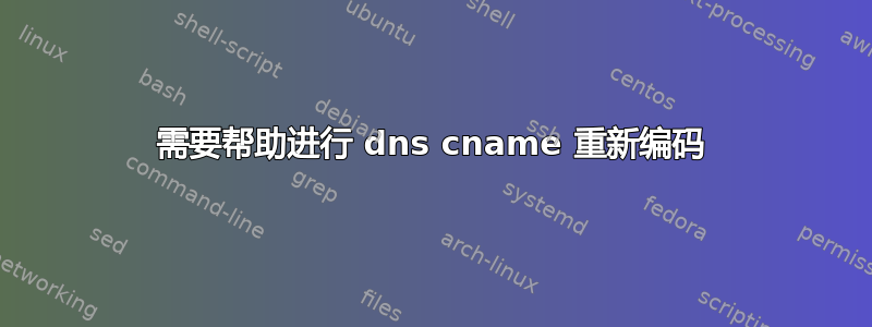 需要帮助进行 dns cname 重新编码