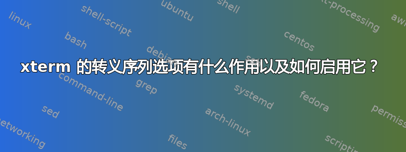 xterm 的转义序列选项有什么作用以及如何启用它？