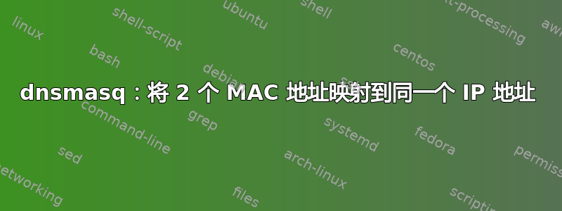 dnsmasq：将 2 个 MAC 地址映射到同一个 IP 地址