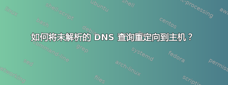 如何将未解析的 DNS 查询重定向到主机？