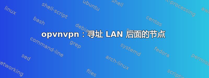 opvnvpn：寻址 LAN 后面的节点