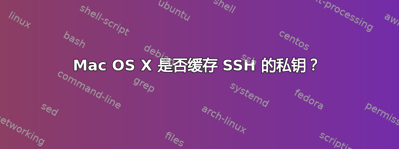 Mac OS X 是否缓存 SSH 的私钥？