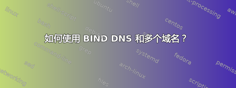 如何使用 BIND DNS 和多个域名？