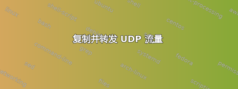 复制并转发 UDP 流量