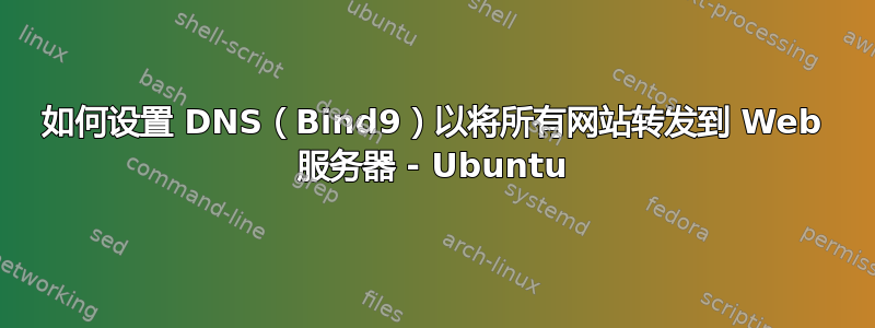 如何设置 DNS（Bind9）以将所有网站转发到 Web 服务器 - Ubuntu