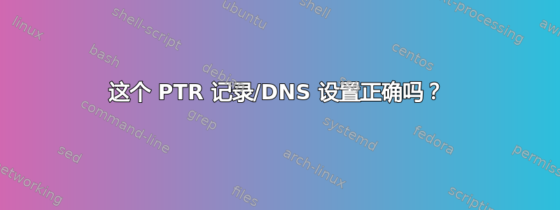 这个 PTR 记录/DNS 设置正确吗？