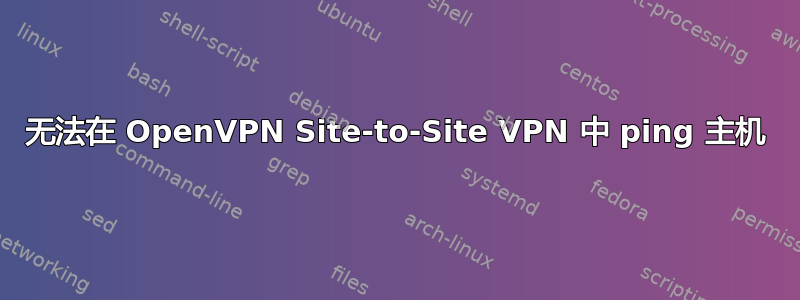 无法在 OpenVPN Site-to-Site VPN 中 ping 主机