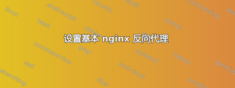 设置基本 nginx 反向代理