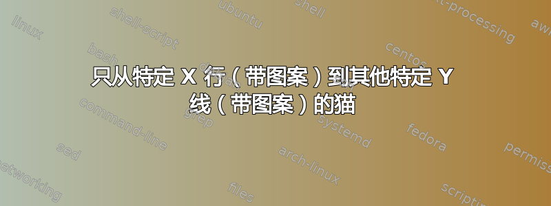 只从特定 X 行（带图案）到其他特定 Y 线（带图案）的猫