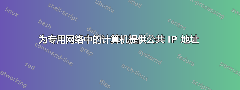 为专用网络中的计算机提供公共 IP 地址