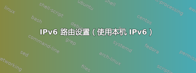 IPv6 路由设置（使用本机 IPv6）