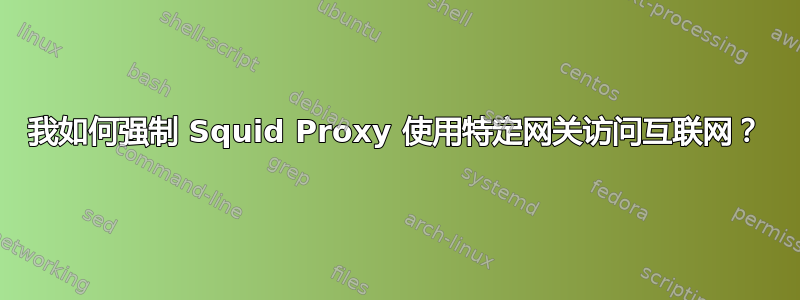 我如何强制 Squid Proxy 使用特定网关访问互联网？