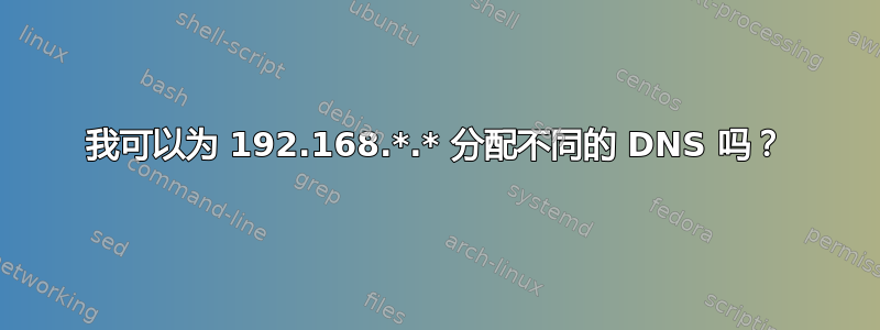 我可以为 192.168.*.* 分配不同的 DNS 吗？