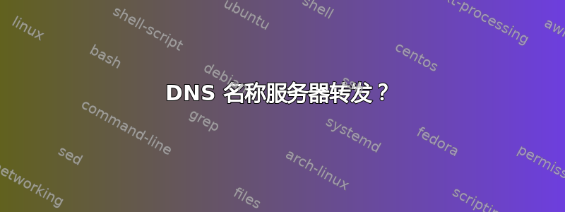 DNS 名称服务器转发？