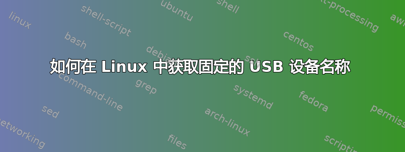 如何在 Linux 中获取固定的 USB 设备名称