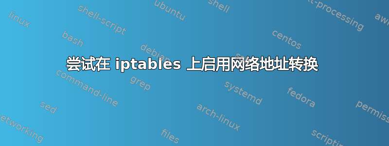 尝试在 iptables 上启用网络地址转换