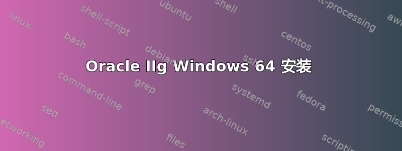 Oracle IIg Windows 64 安装