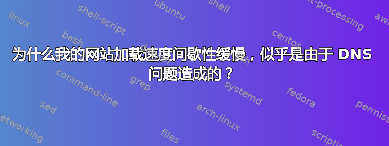 为什么我的网站加载速度间歇性缓慢，似乎是由于 DNS 问题造成的？