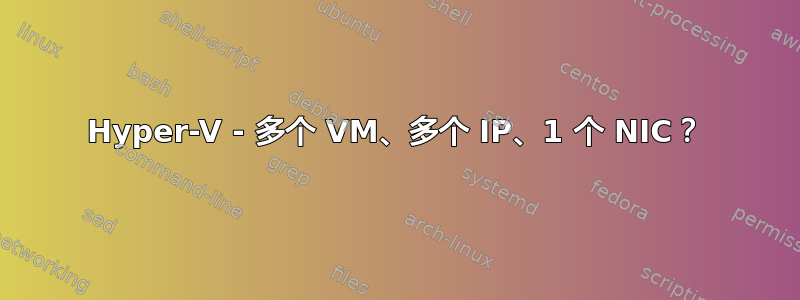 Hyper-V - 多个 VM、多个 IP、1 个 NIC？