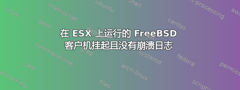 在 ESX 上运行的 FreeBSD 客户机挂起且没有崩溃日志