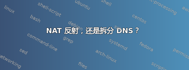 NAT 反射，还是拆分 DNS？