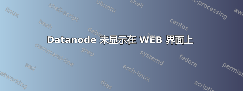 Datanode 未显示在 WEB 界面上