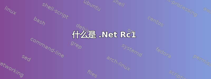 什么是 .Net Rc1