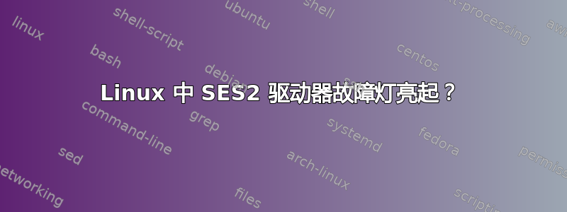 Linux 中 SES2 驱动器故障灯亮起？