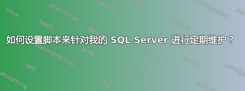 如何设置脚本来针对我的 SQL Server 进行定期维护？