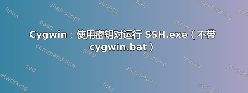 Cygwin：使用密钥对运行 SSH.exe（不带 cygwin.bat）