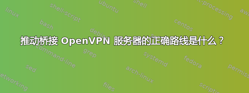 推动桥接 OpenVPN 服务器的正确路线是什么？