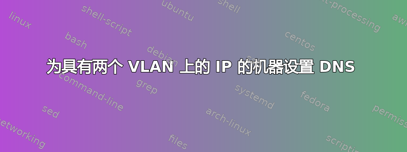 为具有两个 VLAN 上的 IP 的机器设置 DNS